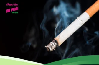 Khói thuốc lá tàn phá lá phổi