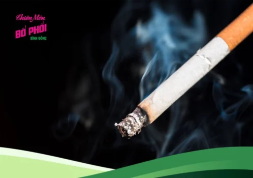 Khói thuốc lá tàn phá lá phổi