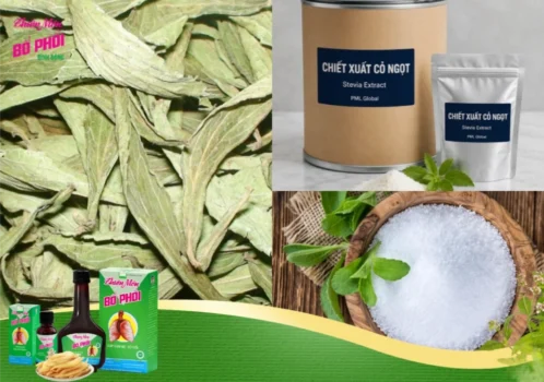 Các loại sản phẩm từ cỏ ngọt