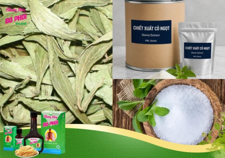 Cỏ Ngọt có tốt không? 5 lợi ích sức khỏe bất ngờ bạn cần biết