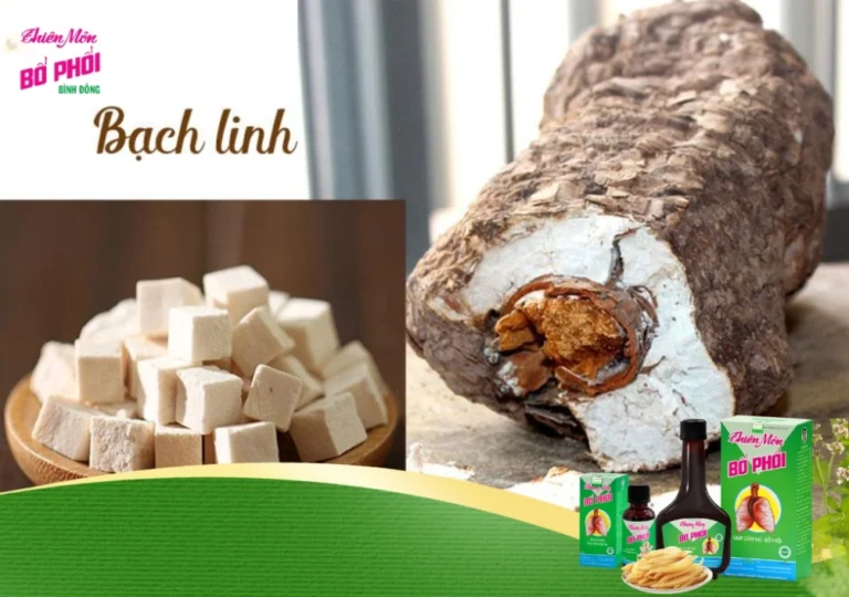 Sự thật về Bạch Linh: Vị thuốc Đông y với công dụng dưỡng sinh tuyệt vời