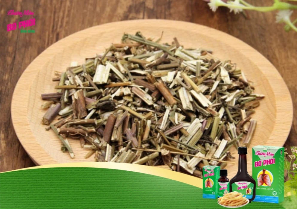 thảo dược kinh giới trong đời sống