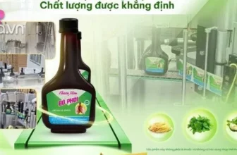 Ảnh minh họa Thiên Môn Bổ Phổi trong bài PR trên Eva