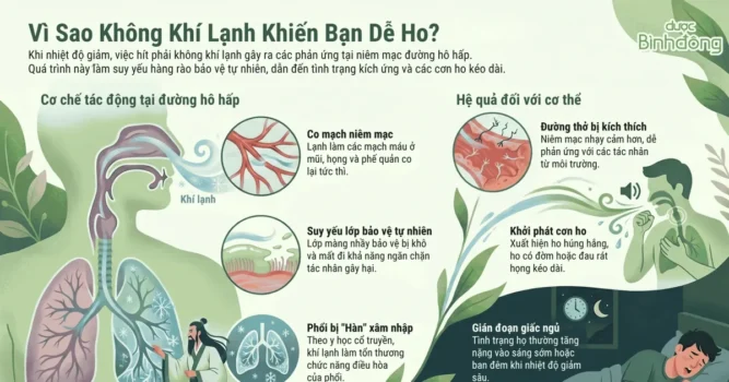 Ảnh minh họa Thiên Môn Bổ Phổi trong bài PR trên Báo Phú Thọ