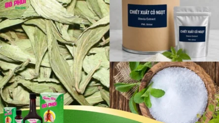 Cỏ Ngọt có tốt không? 5 lợi ích sức khỏe bất ngờ bạn cần biết