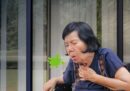 Người già bị đờm: Nguyên nhân, dấu hiệu nguy hiểm và cách xử lý tại nhà